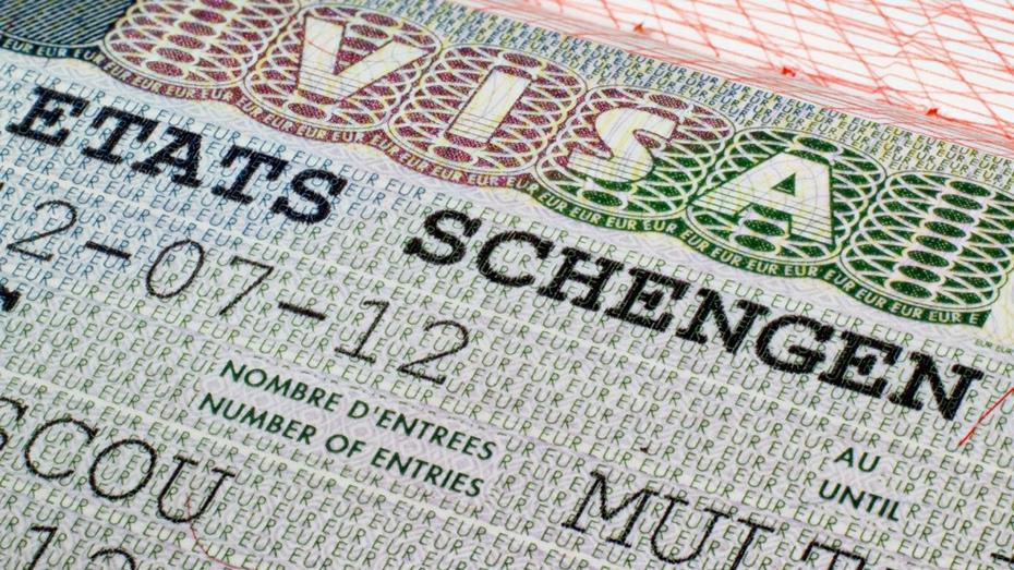 Schengen'de 'güvenilir kişiler' düzenlemesi masada: Kimler uzun dönem vize alabilecek?