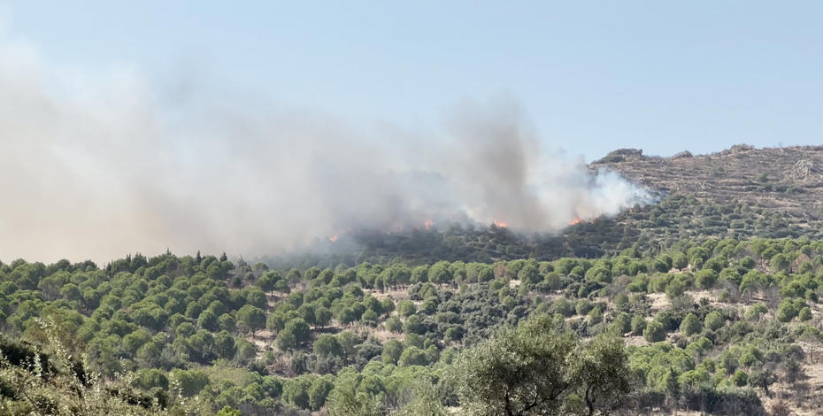 İzmir'de Orman Yangını Kontrol Altına Alındı