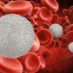 Lökositler nelerdir?  Yüksek ve düşük beyaz kan hücresi sayımı ne anlama geliyor?