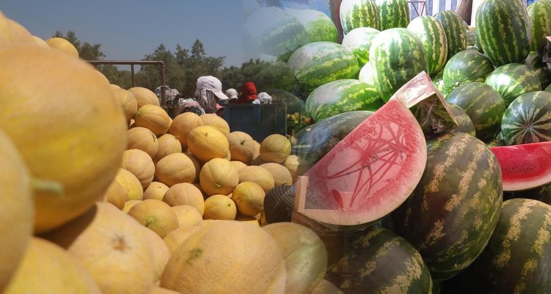 Ünlü Warmed Beslenme Uzmanı: Kahvaltıda yenmemesi gereken meyveler ... 2