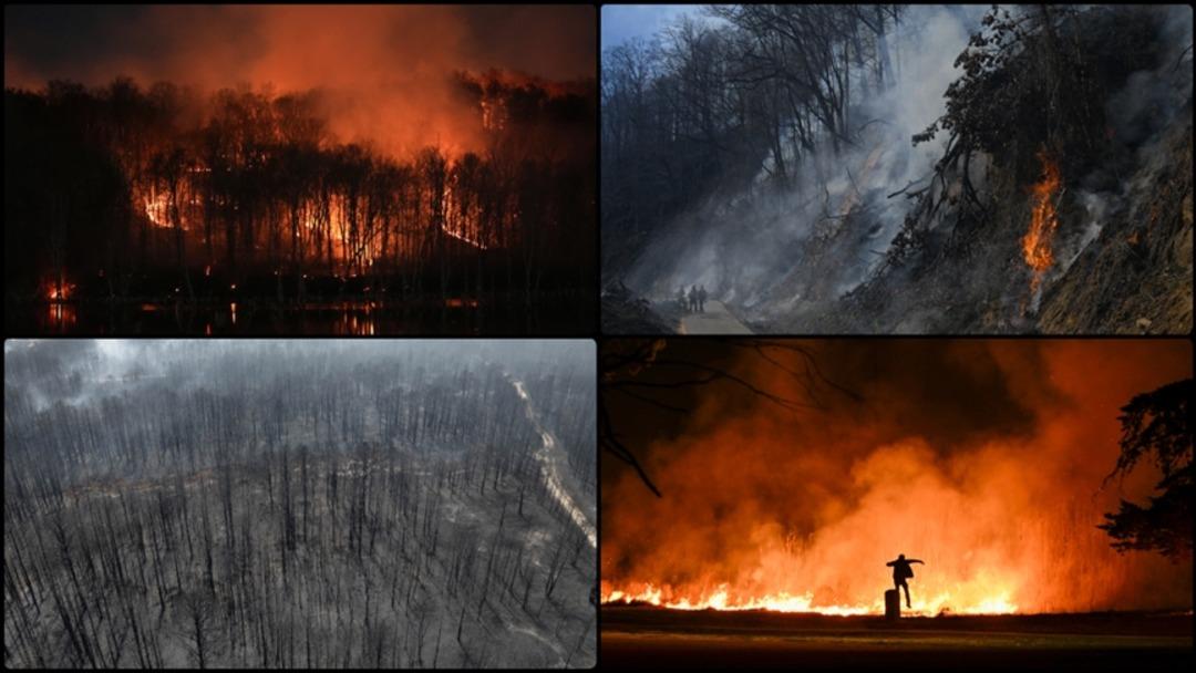 Orman yangınlarının görünmez tehlikesi! Akciğerleri hasta ediyor: özellikle bu hastalıkları olanlar! Uzmanlar uyarıyor ... 2