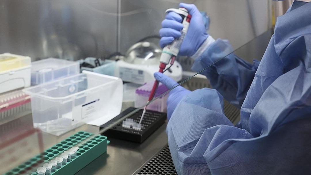 Kuaför ve berbere dikkat: Hepatit kontaminasyonu riski var! Uzmanlar hepatit tehlikesinden uyardı ... 6