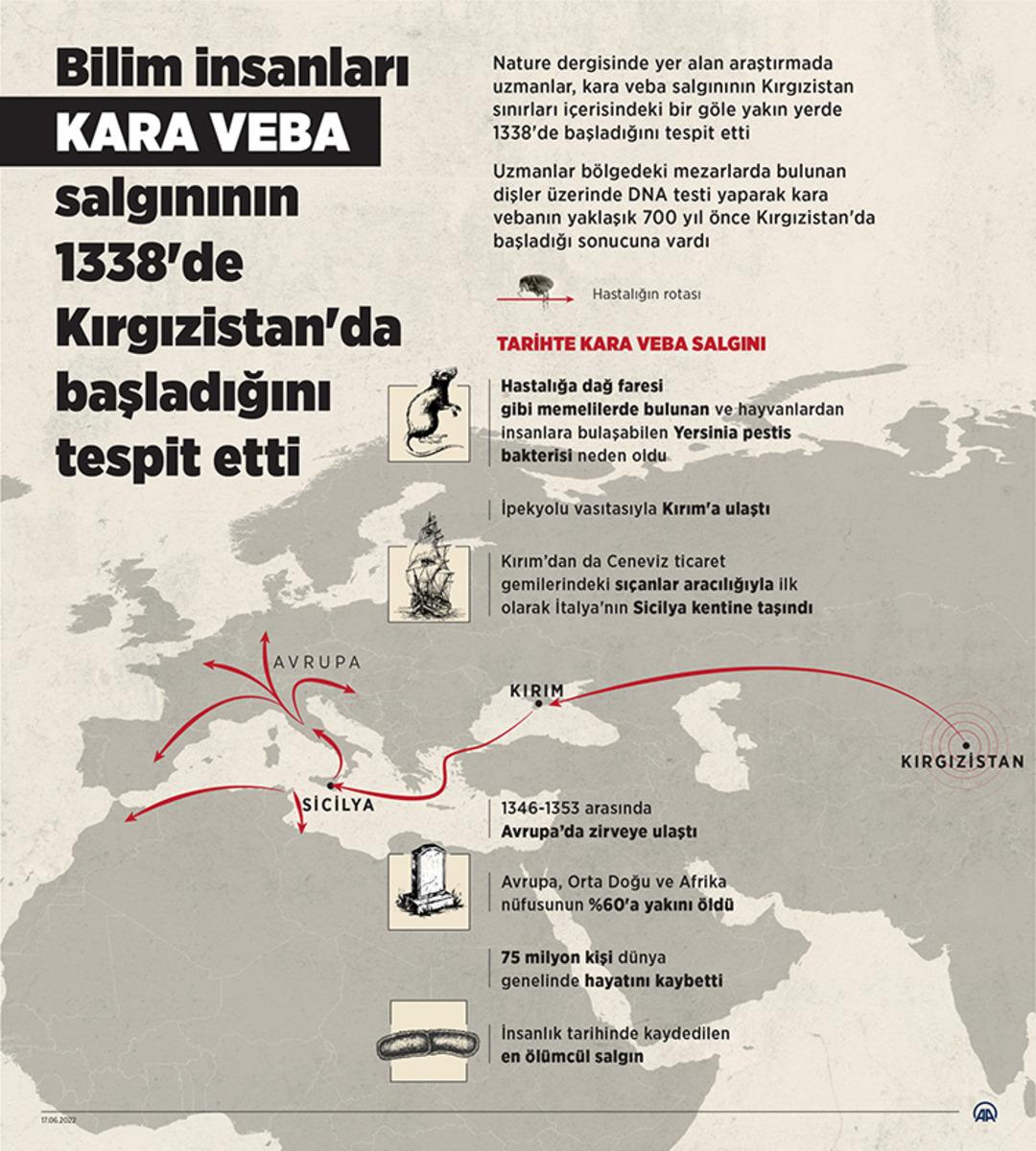 İnsanlık tarihindeki en ölümcül hastalık: Veba geri döndü! Pire ısırığı enfekte edildi ... 6