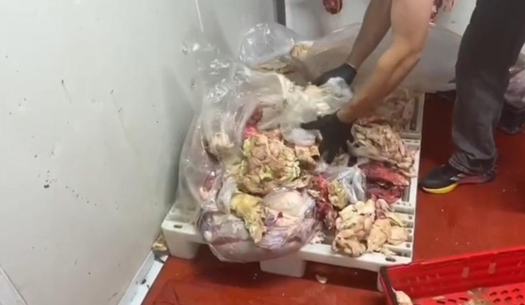 Zarif görüntüler: Beslenen vatandaş yakalanmazsa, hepsi tek tek yok edildi! 2