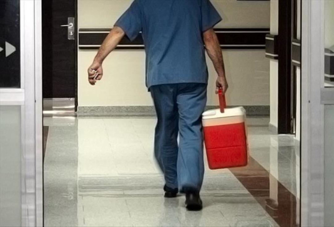 Organ Bağışında Yeni Dijital Dönem: Bağış dönemi e-devlet ve e-posta yoluyla başlar! 3