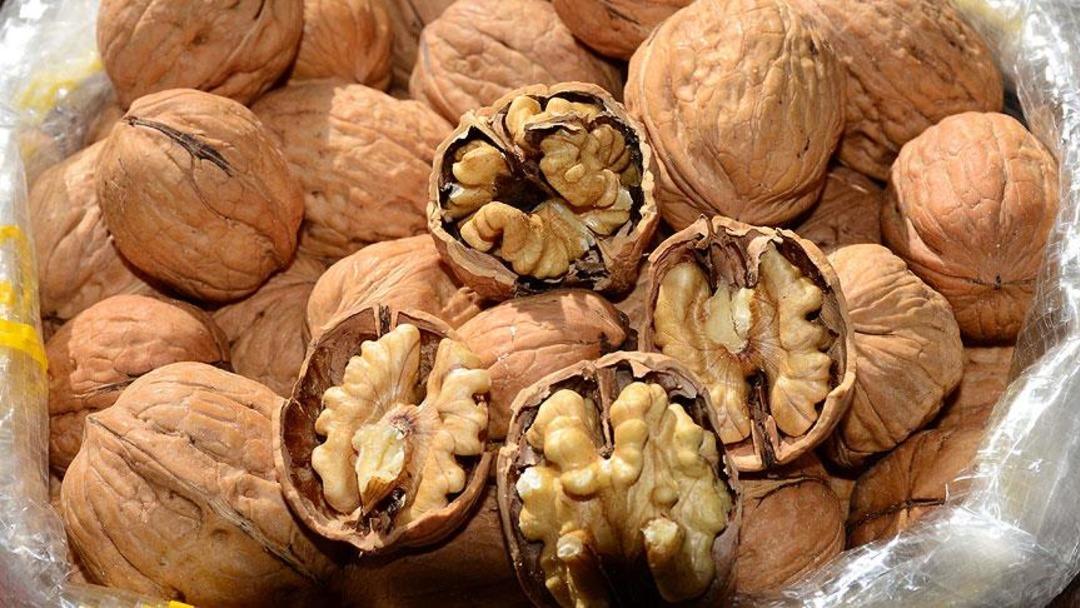 Cevizin faydaları nelerdir? Beyinden kalbe sağlığınıza tam destek: Günde ne kadar fındık tüketilmeli? Ceviz hangi organa iyi gelir? 5