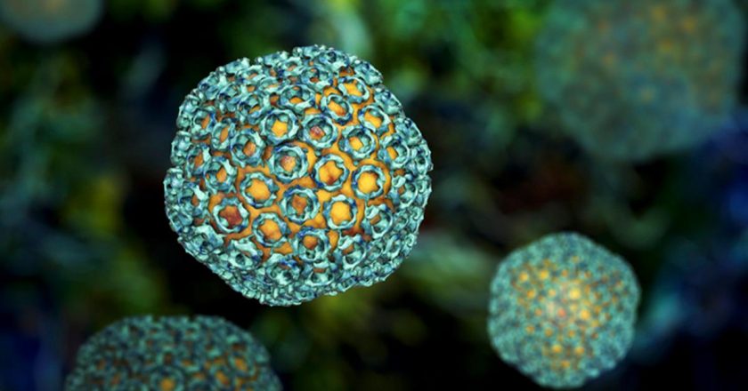 Hayvanlardan insana bulaşan ölümcül salgın yayılıyor: 29 kişiyi öldürdü!