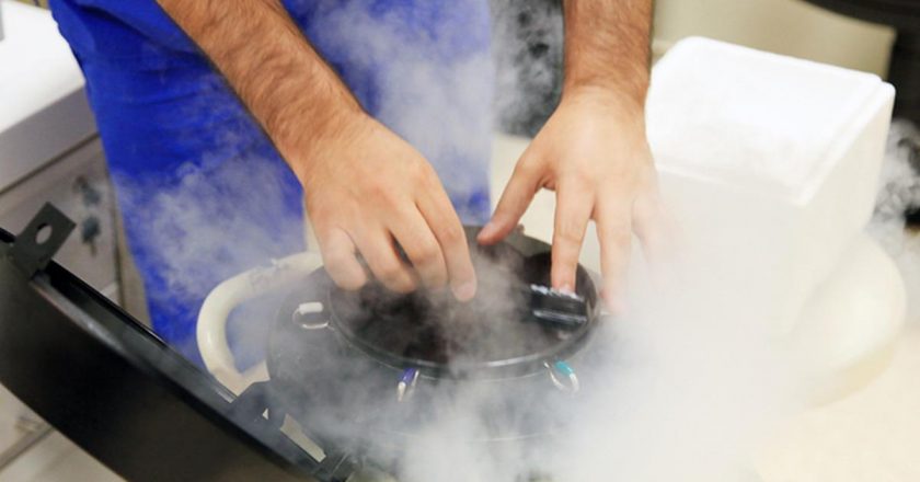 Sperm bankalarında yeni dönem şartı: IQ testi zorunlu hale geldi!