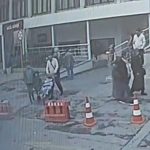 Böcek ailesine dair yeni görüntüler gün yüzüne çıktı